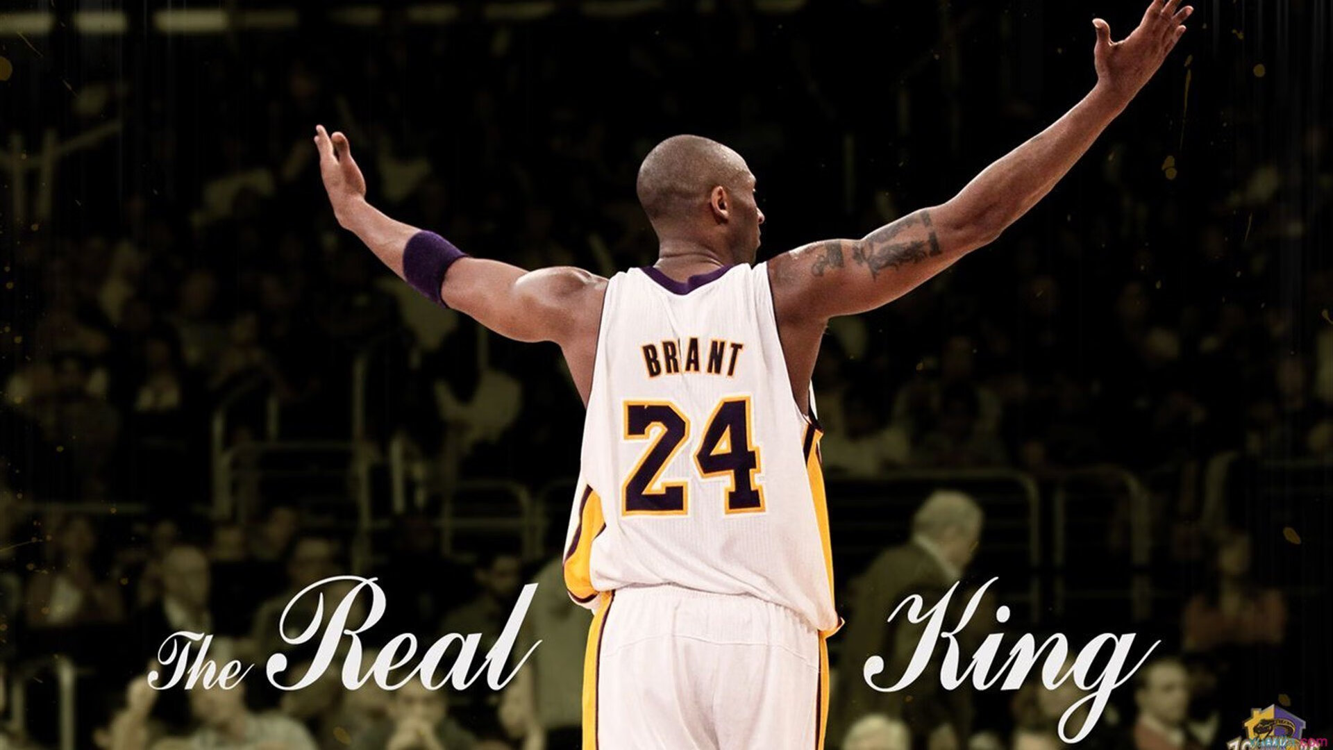 皇家马德里履新主教练，打造新时代，皇家马德里的主教练叫什么名字