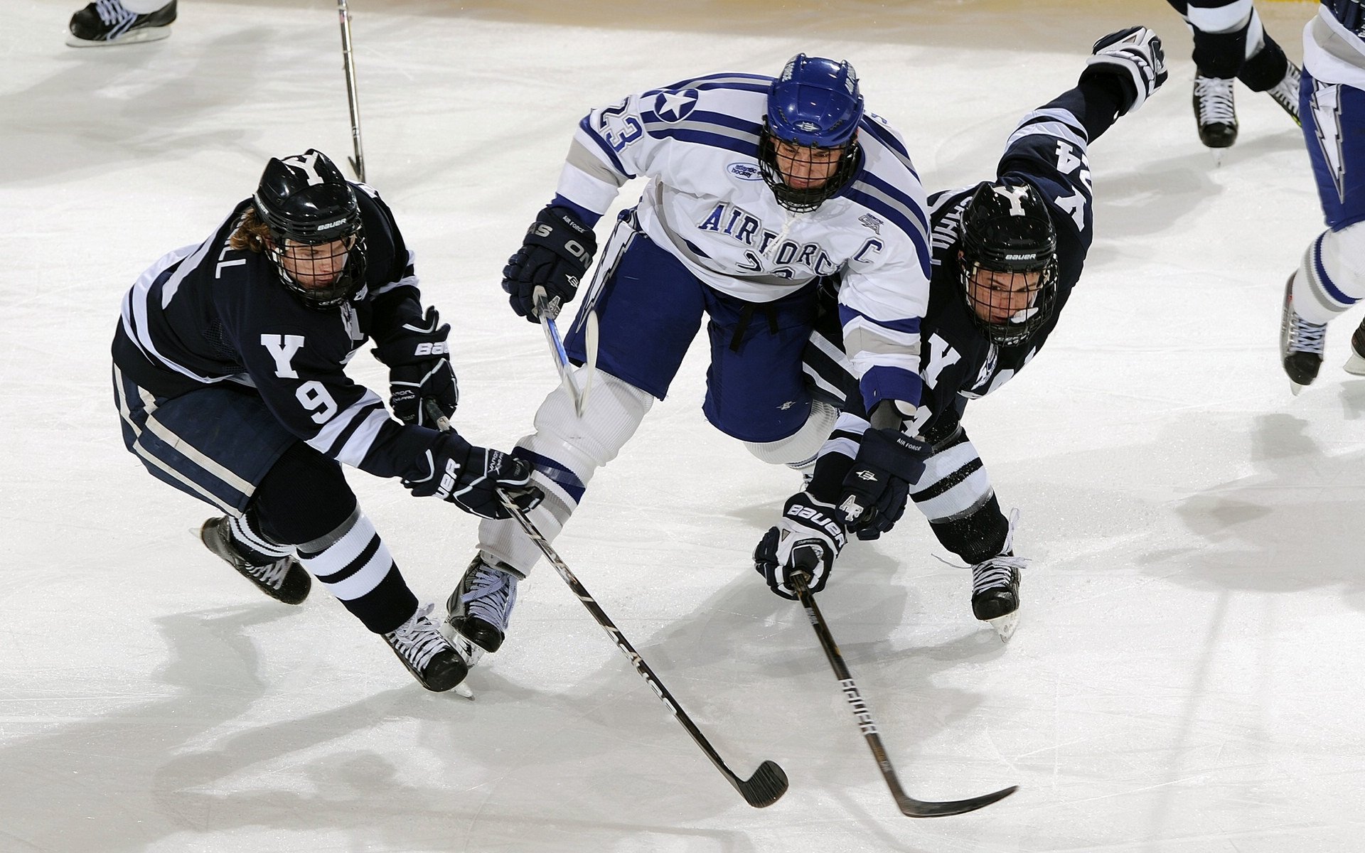 大学生田径联赛南区分站赛火热开赛，大学生田径比赛